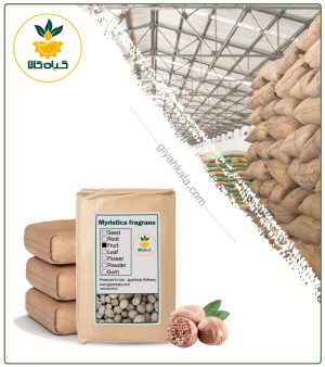 میوه جوز هندی خشک فله