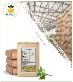 گیاه درمنه ترکی خشک فله