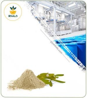 عصاره دارواش خشک یا پودری