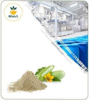 عصاره کدو سبز خشک یا پودری