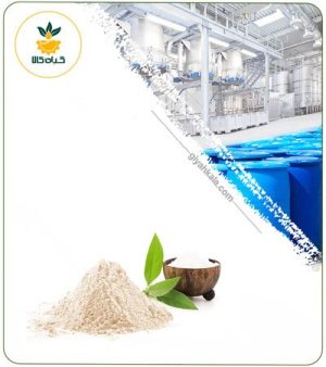 عصاره کافور خشک یا پودری