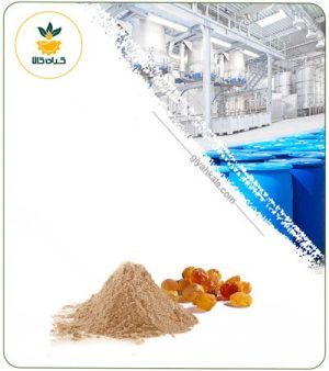 عصاره صمغ عربی خشک یا پودری