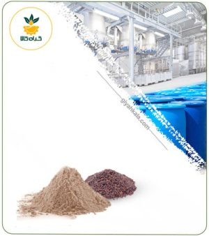 عصاره عدس الملک خشک یا پودری