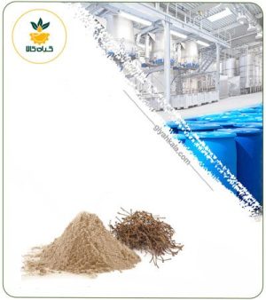 عصاره دم گیلاس خشک یا پودری
