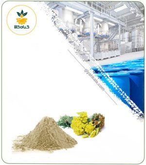 عصاره بومادران خشک یا پودری