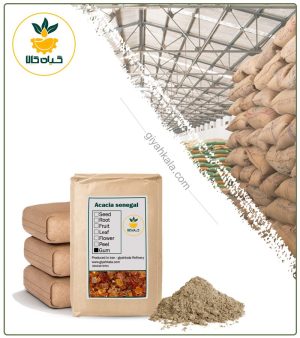 پودر صمغ عربی فله