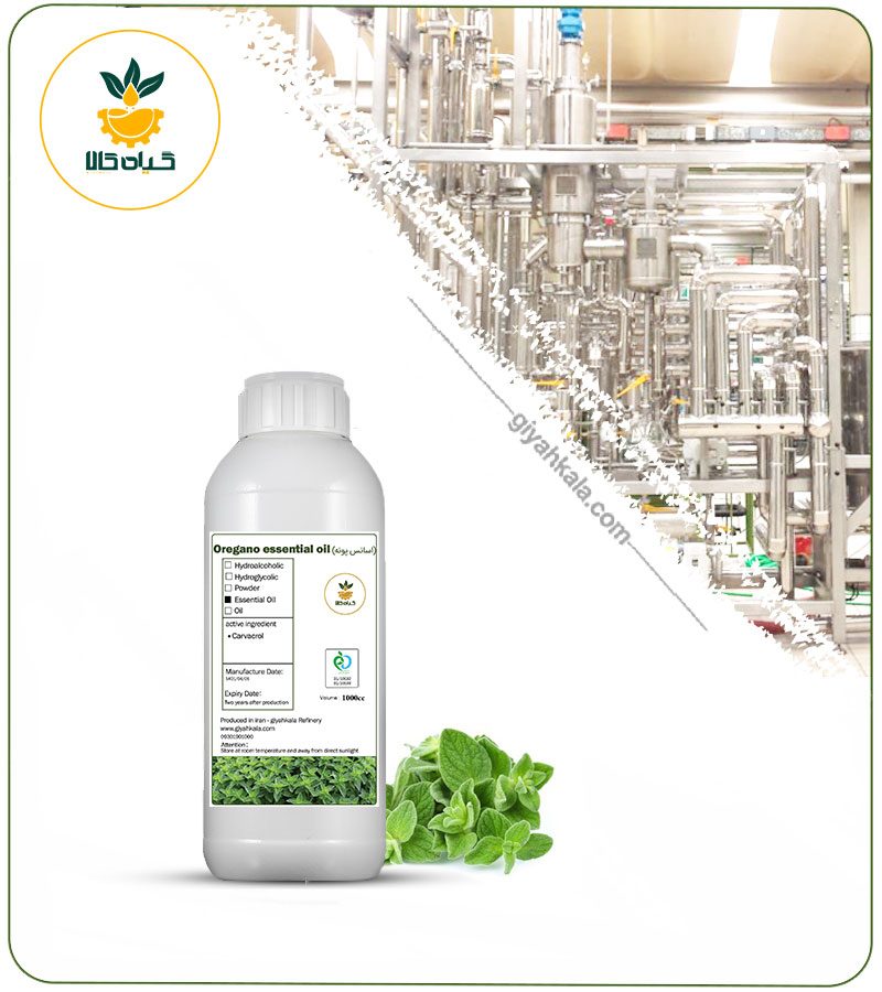 اسانس پونه طبیعی