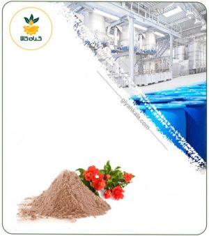 عصاره گل انار خشک یا پودری