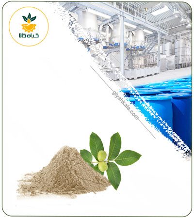 عصاره برگ گردو خشک یا پودری