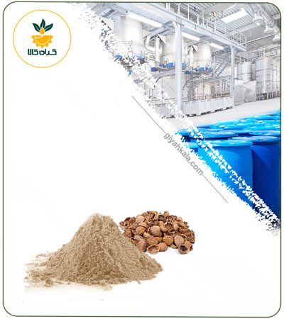 عصاره پوست گردو خشک یا پودری
