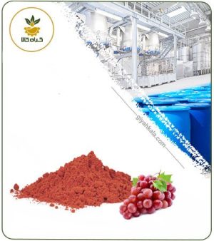 عصاره انگور خشک یا پودری