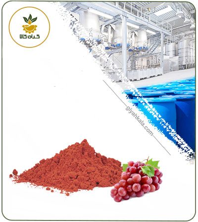 عصاره انگور خشک یا پودری