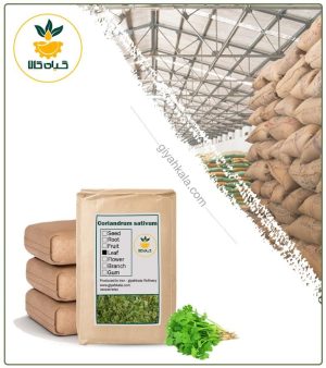 گیاه گشنیز خشک فله