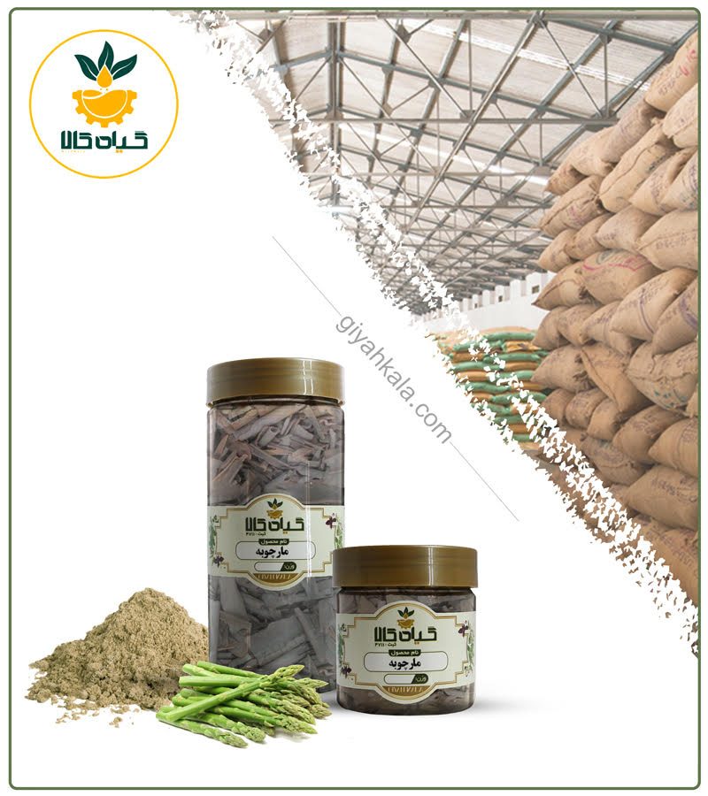 گیاه مارچوبه خشک یا پودری بسته بندی شده