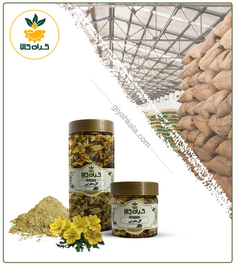 گل مغربی خشک یا پودری بسته بندی