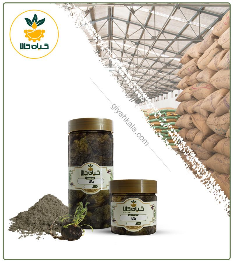 گیاه ماکا خشک یا پودری بسته بندی