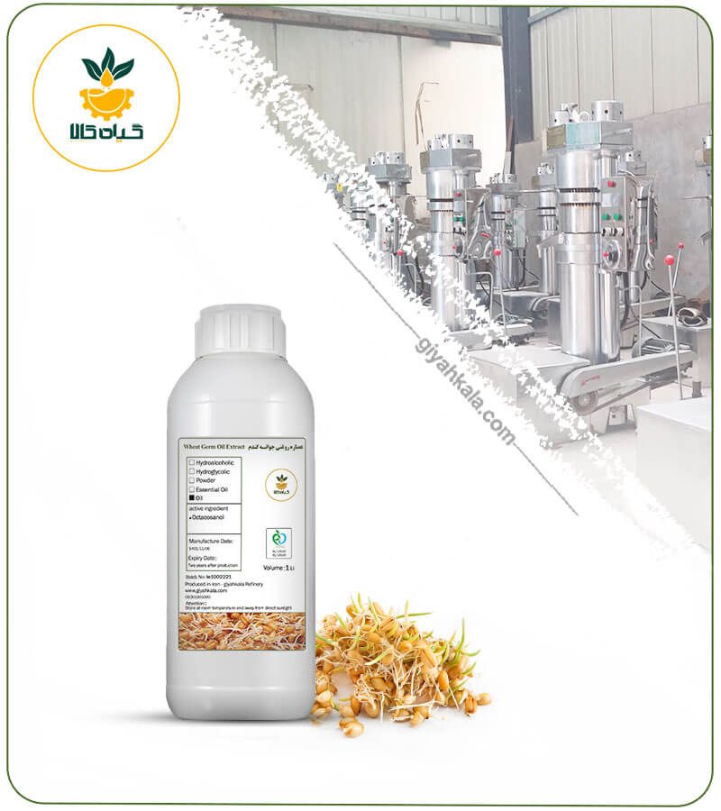 روغن جوانه گندم