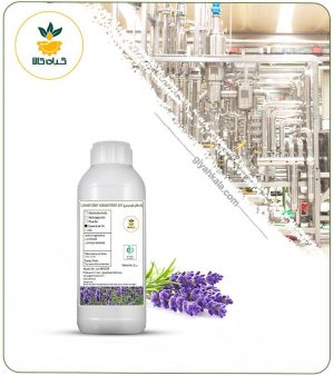 اسانس اسطوخودوس (لاوندر) طبیعی