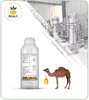روغن کوهان شتر