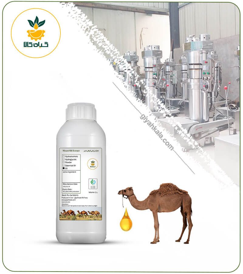 روغن کوهان شتر
