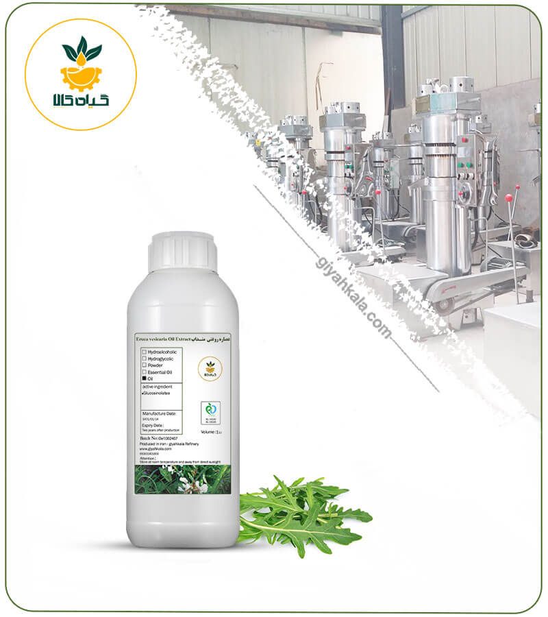 روغن منداب