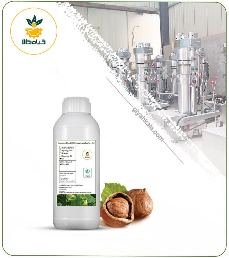 روغن فندق