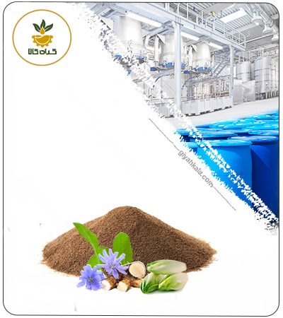 عصاره دانه کاسنی خشک (پودری)