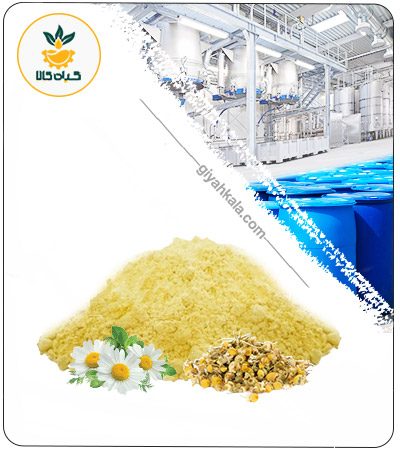عصاره بابونه گاوی خشک یا پودری