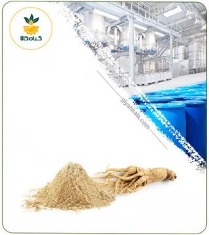 عصاره جینسینگ رومی خشک یا پودری