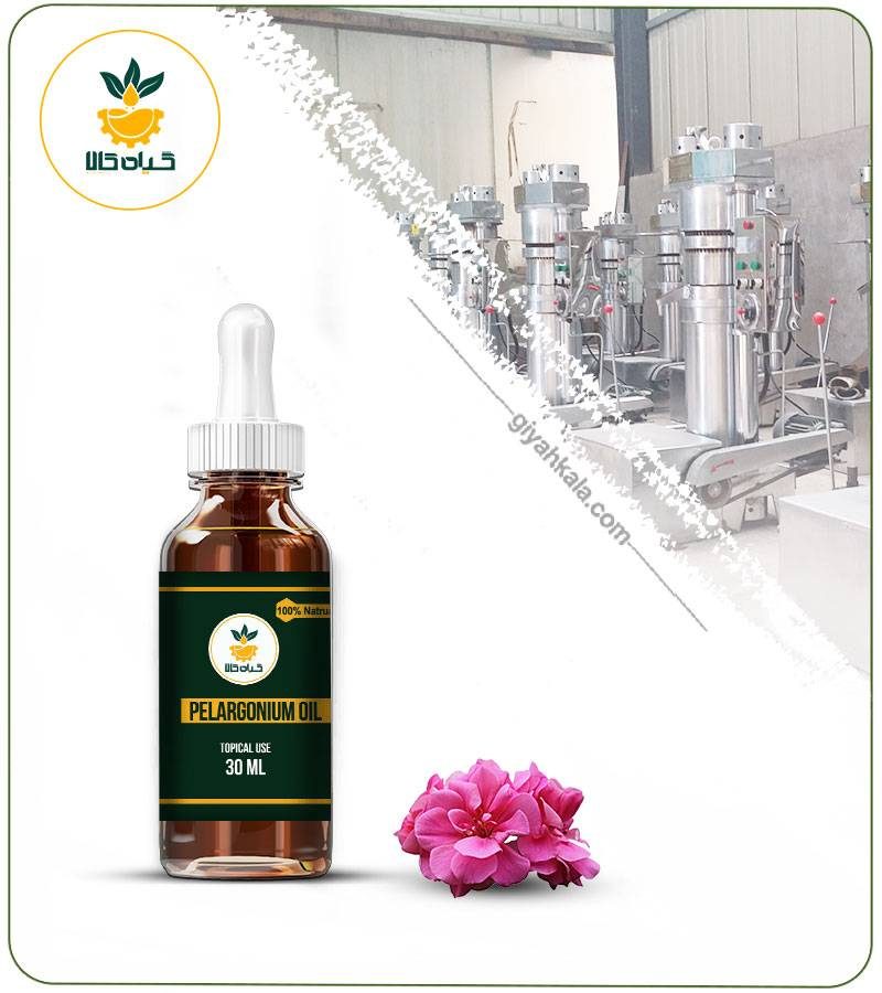 روغن شمعدانی موضعی