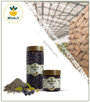 میوه مورد خشک یا پودری بسته بندی