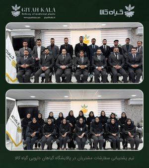روغن رزهیپ مخصوص مو