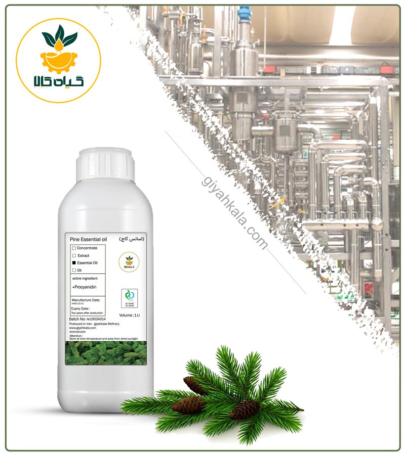 اسانس کاج طبیعی