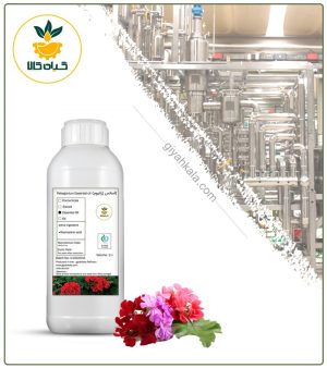 اسانس ژرانیوم (شمعدانی) طبیعی