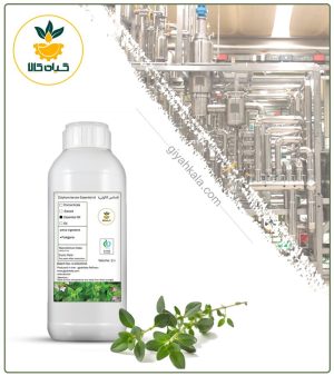 اسانس کاکوتی طبیعی