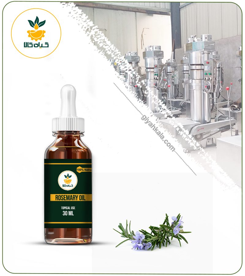 روغن رزماری مخصوص مو