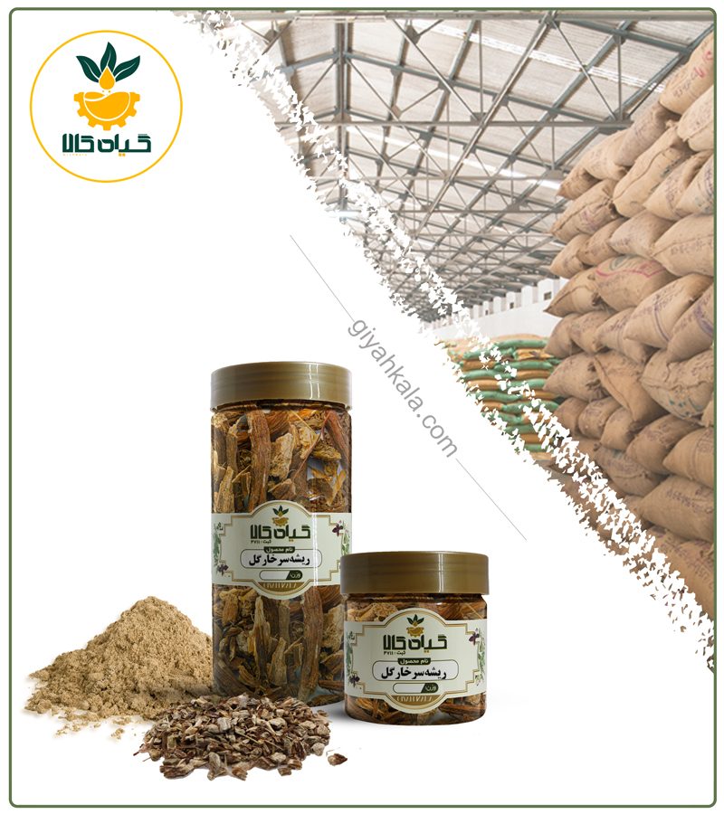 ریشه سرخارگل یا پودری بسته بندی