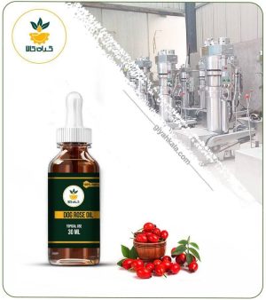 روغن رزهیپ برای رفع چین و چروک صورت