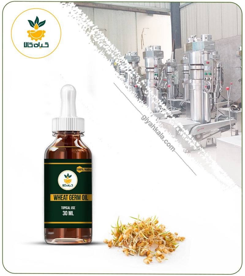 روغن جوانه گندم برای تغذیه کامل پوست