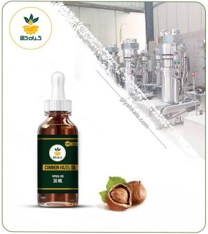 روغن فندق برای تنظیم چربی پوست