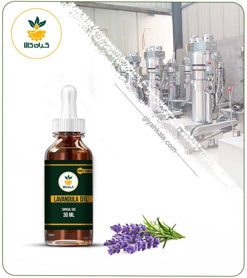 روغن اسطوخودوس برای رفع شپش سر