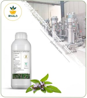 روغن مریم گلی