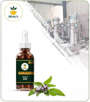 روغن مریم گلی مخصوص مو