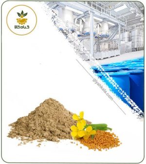 عصاره خردل خشک یا پودری