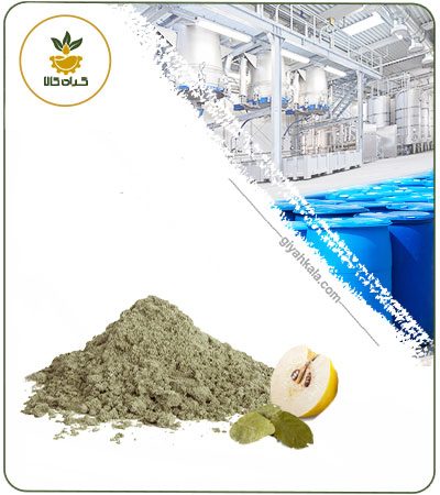 عصاره برگ به خشک یا پودری