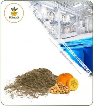 عصاره تخم کدو خشک یا پودری