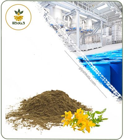 عصاره علف چای خشک یا پودری