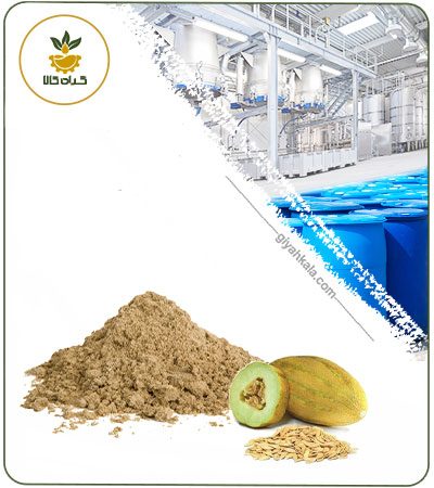 عصاره تخم خربزه خشک یا پودری