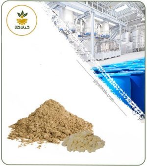 عصاره مصطکی خشک یا پودری