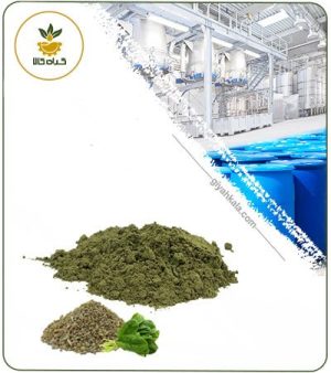 عصاره تخم اسفناج خشک یا پودری